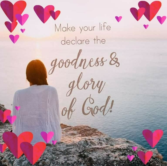 Meet your Posher, Rose - Picture 1 of 1